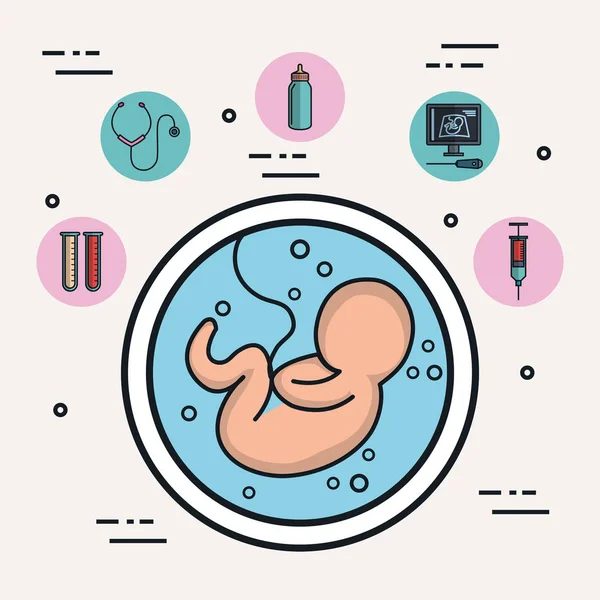 Crescimento da gravidez bebê feto desenvolvimento amniótico —  Vetores de Stock