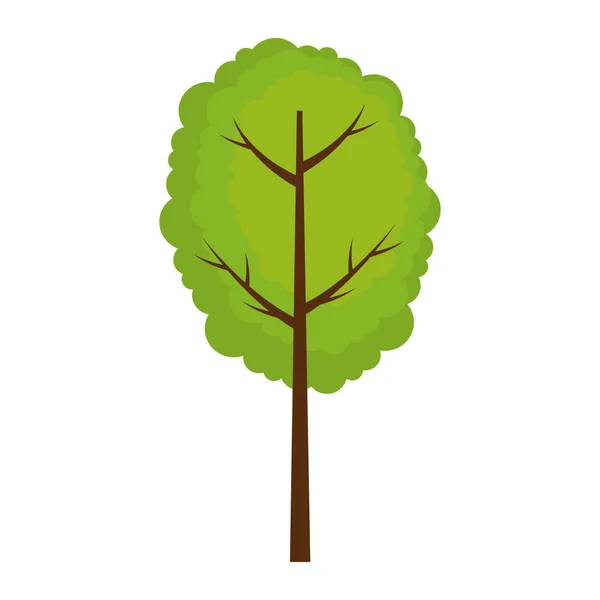 Árbol planta naturaleza icono — Vector de stock