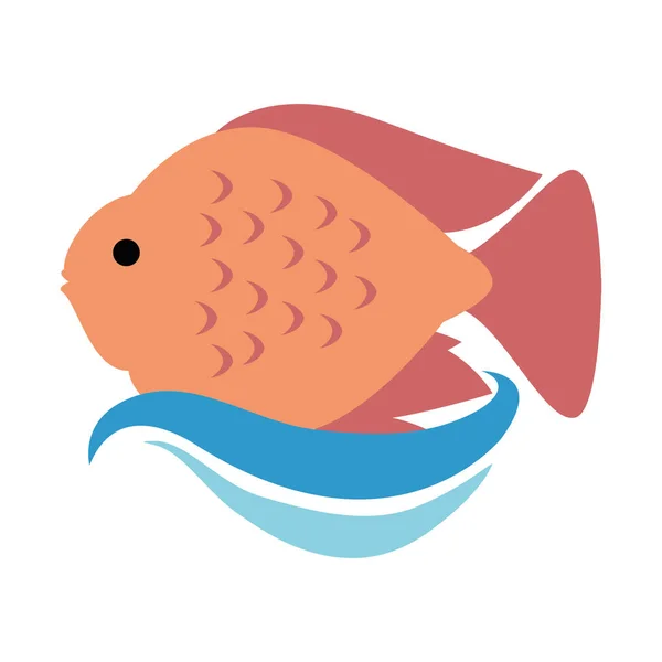 Cute ornamental fish icon — Stock Vector