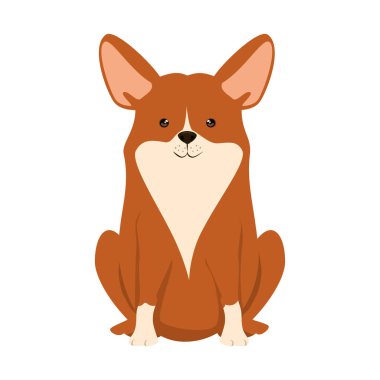 sevimli köpek ırkı karakter