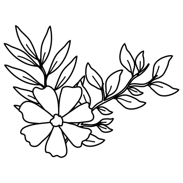 Flor y hojas icono decorativo — Vector de stock