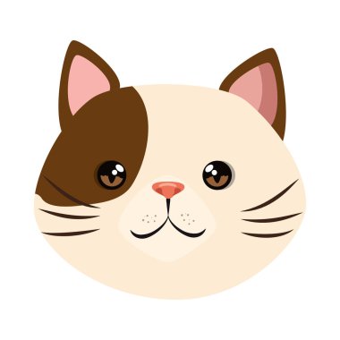 sevimli kedi maskot baş karakter