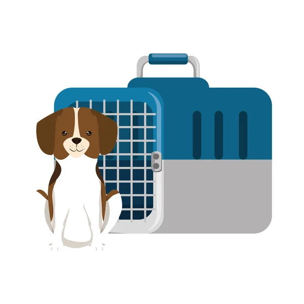Cão com caixa de transporte mascote — Vetor de Stock