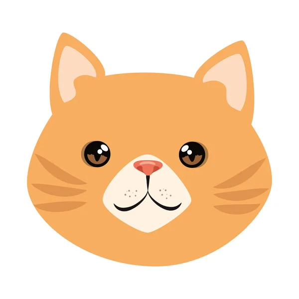 Lindo gato mascota cabeza carácter — Vector de stock