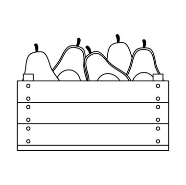 ahşap kutu vejetaryen gıda taze avokado