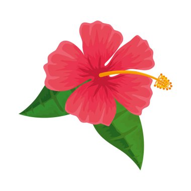 egzotik tropikal çiçek ve yapraklar