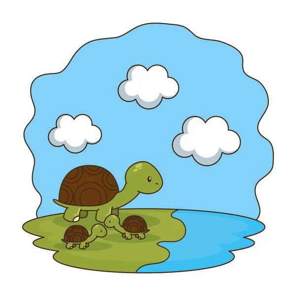 Söta sköldpaddor familj i lägret — Stock vektor