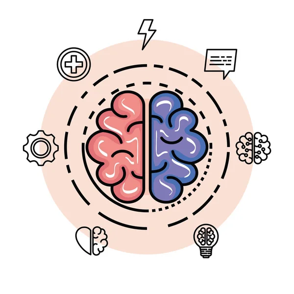 Cerveau santé avec mémoire créative et intelligence — Image vectorielle