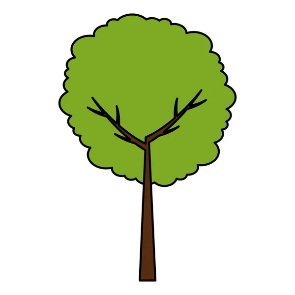 Árbol planta naturaleza icono — Vector de stock