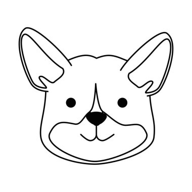 sevimli köpek ırkı kafa karakteri