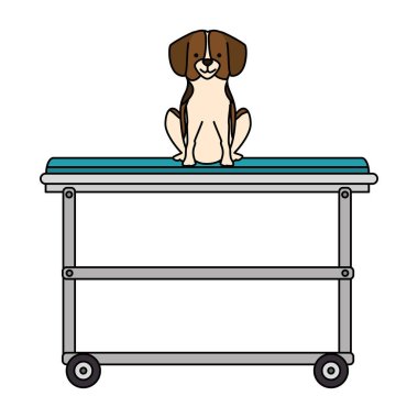 sedye karakter sevimli köpek