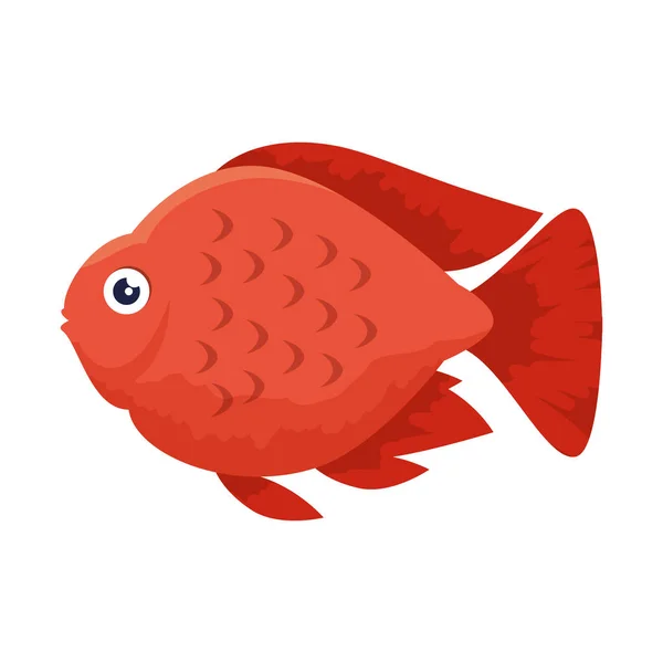 Icône de poisson ornemental mignon — Image vectorielle