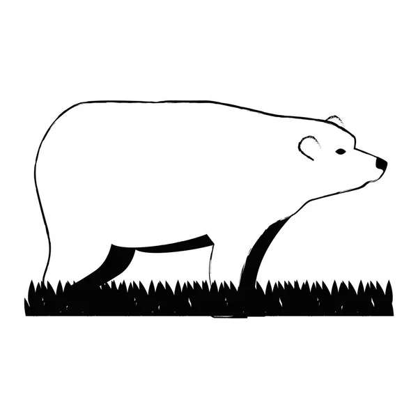 Wild grizzly beer pictogram — Stockvector