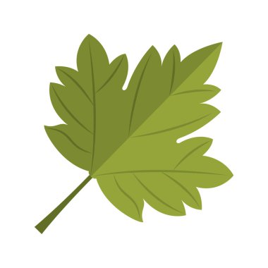 akçaağaç yaprağı amblemi simgesi