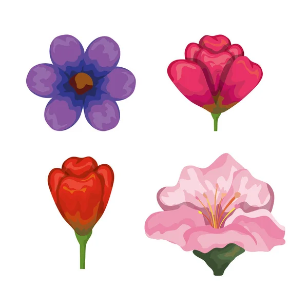 Set exotických květin a růží — Stockový vektor