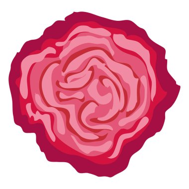 güzel gül çiçek dekoratif