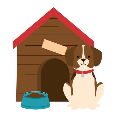 ahşap ev ve çanak gıda ile sevimli köpek ırkı