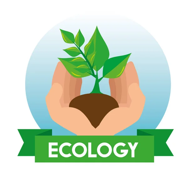 Ecology plant with leaves and ground in the hands — Stock Vector