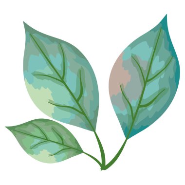 şube ile dekoratif simgesi yapraklar