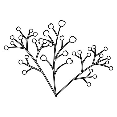 tohum doğal simgesi olan şube