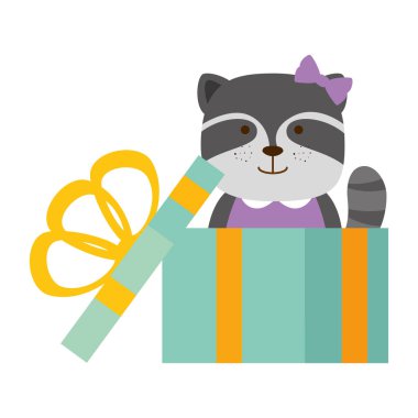 hediye karakter simgesi sevimli rakun