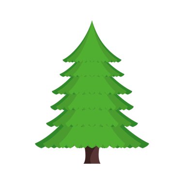 çam ağacı izole simgesi