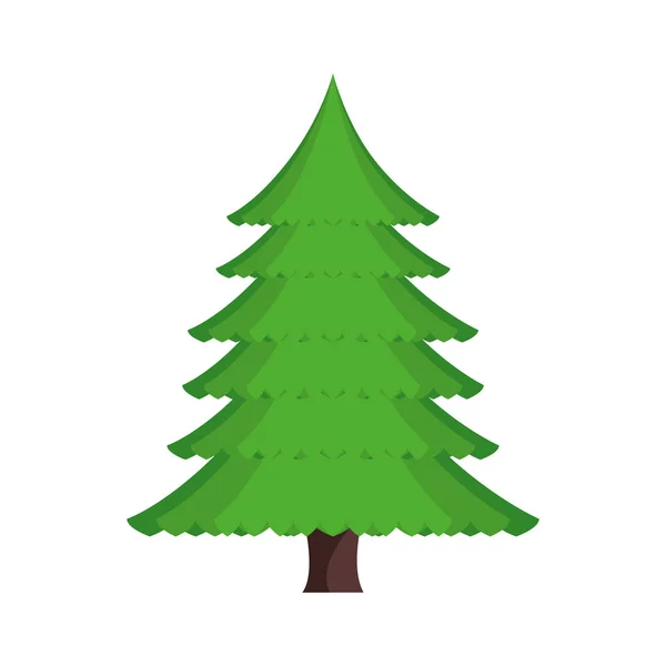 Πεύκο δέντρο απομονωμένες εικονίδιο — Διανυσματικό Αρχείο