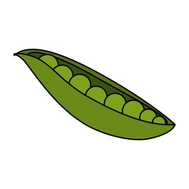 taze fasulye vejetaryen gıda