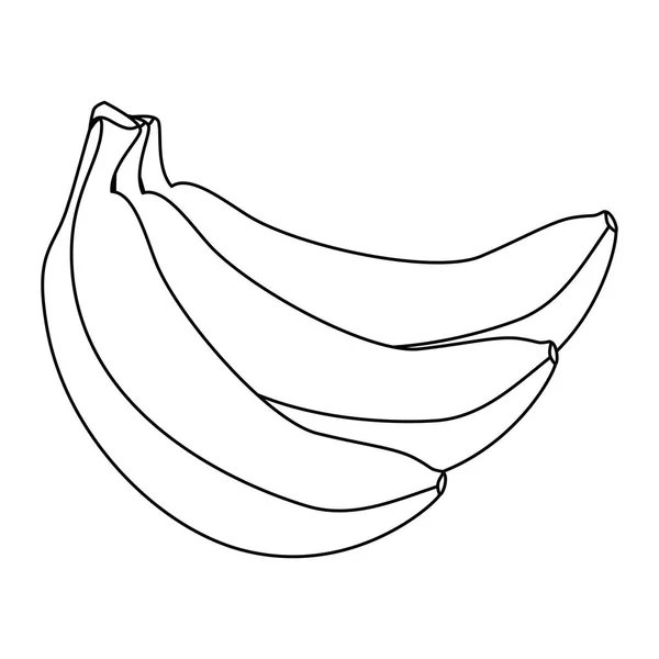 Fresh bananas cluster fruit icon — Stock Vector