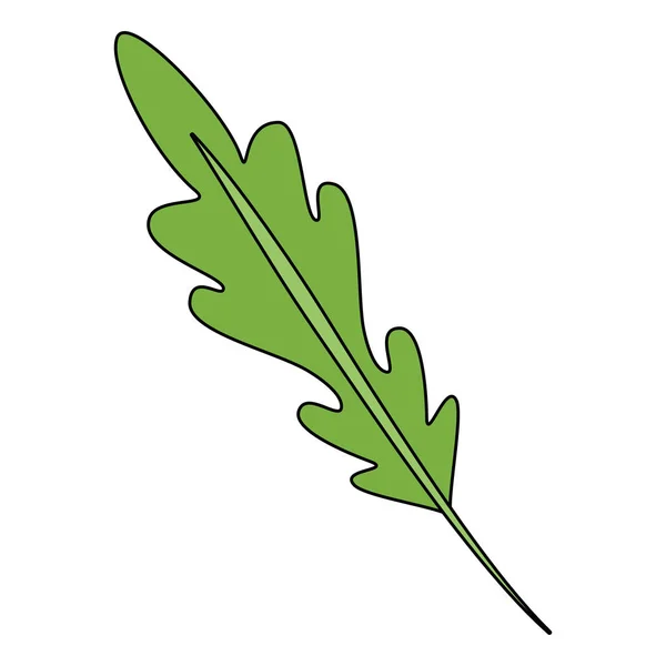 Comida sana de cilantro fresco — Vector de stock