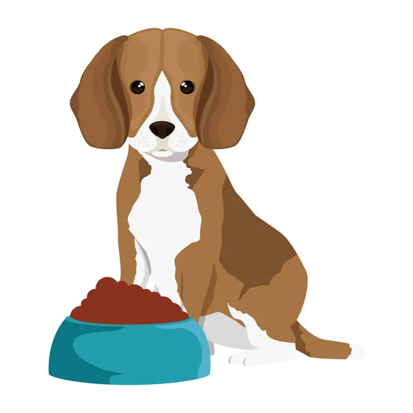 Lindo perro crianza con plato comida carácter — Vector de stock