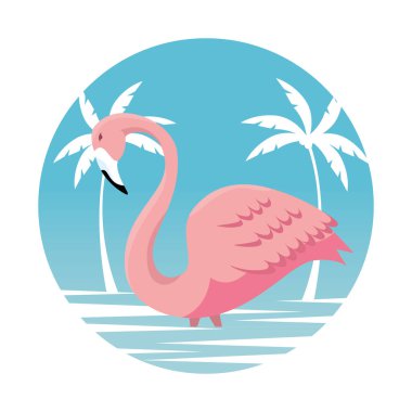 plajda palmiye ağaçları ile tropikal flaman