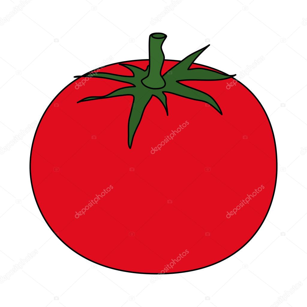 fresh tomatoe vegetarian food