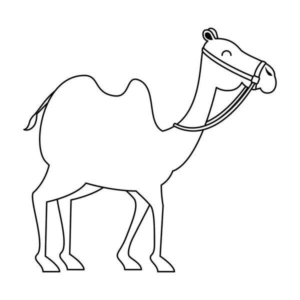 Chameau animal transport arabe — Image vectorielle