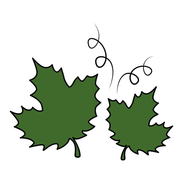 Traubenblätter isoliert Symbol — Stockvektor