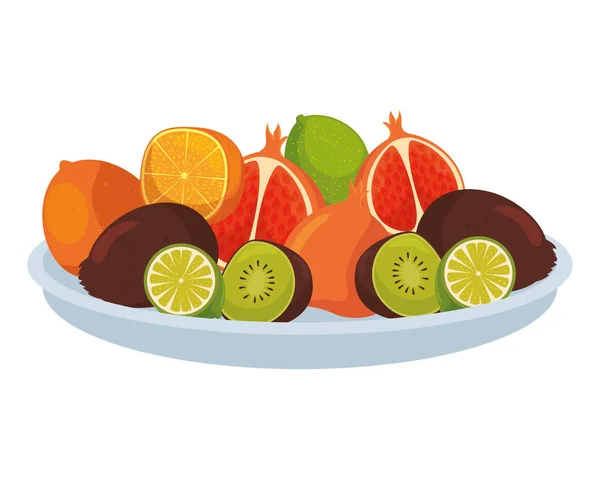 Plato con grupo de frutas tropicales y frescas — Vector de stock