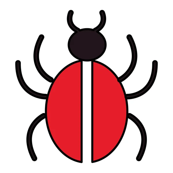 Bug hmyzu izolovaných ikona — Stockový vektor
