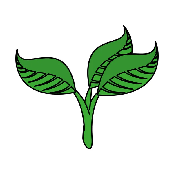 Значок рослин екологічних листя — стоковий вектор