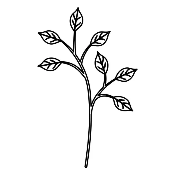 Ág levelek dekoratív ikon — Stock Vector