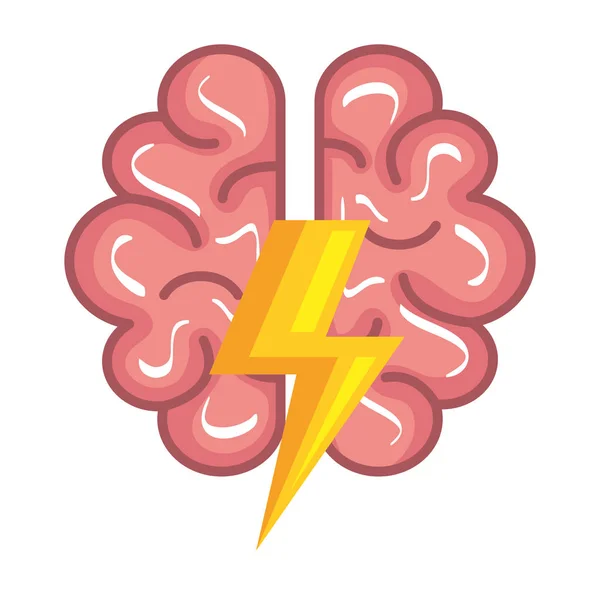 Mozkový lidský orgán s paprskem — Stockový vektor