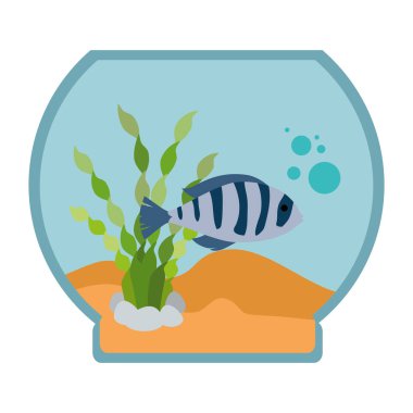 renkleri balık ile akvaryum kase