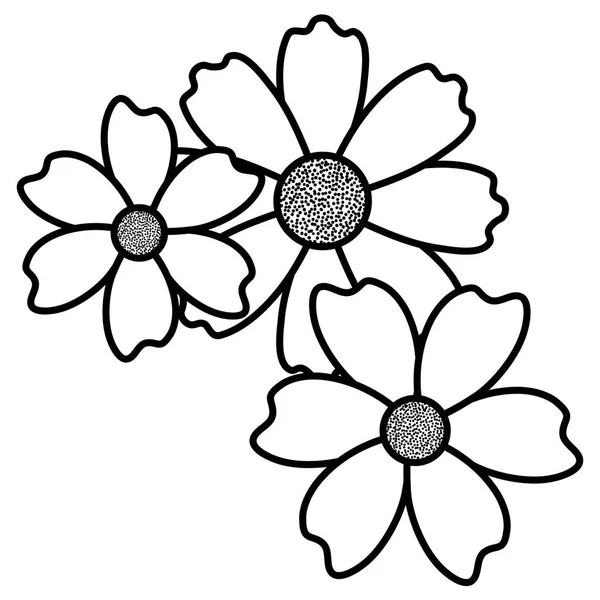 Mooie bloemen decoratieve pictogram — Stockvector