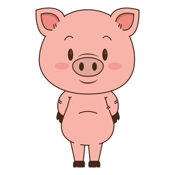 귀엽고 사랑스러운 돼지 캐릭터 — 스톡 벡터