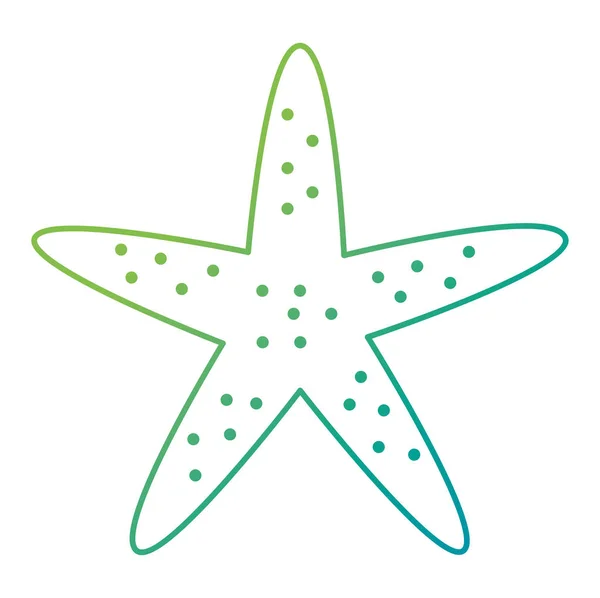 Tengeri csillag állat strand ikon — Stock Vector