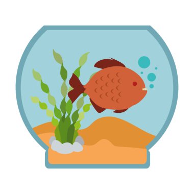 renkleri balık ile akvaryum kase