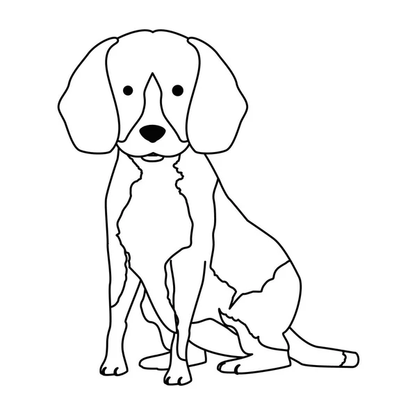 Симпатичный персонаж породы собак — стоковый вектор