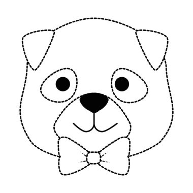 sevimli köpek ırkı kafa karakteri