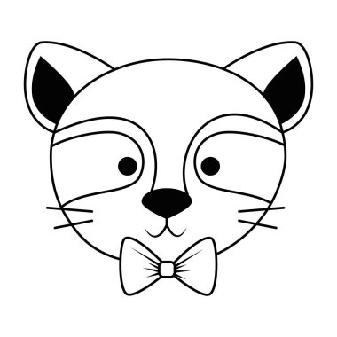 sevimli ve sevimli rakun karakteri