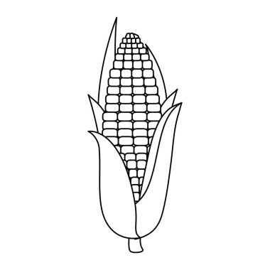 taze mısır vejetaryen gıda