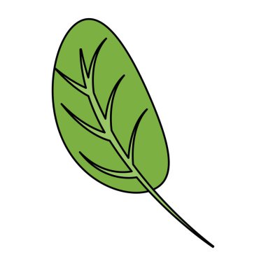 mutfak yapraklar malzemeler sağlıklı gıda